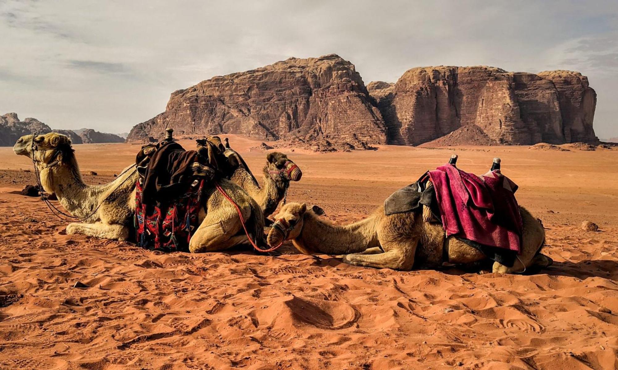 Wadi Rum Caeser Camp Otel Dış mekan fotoğraf